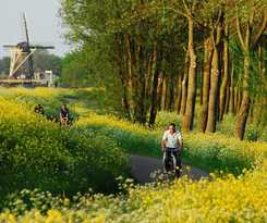 Hampshire Delft Centre