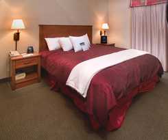 Hotel Homewood Suites By Hilton Albuquerque-journal Center