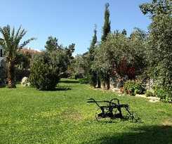 Hotel Altinkaya Resort 