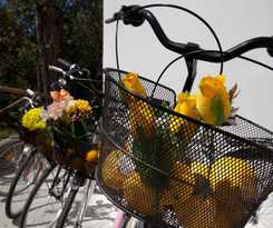 Relais Correale Rooms and Garden