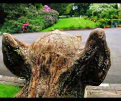 Hotel Hedgefield House