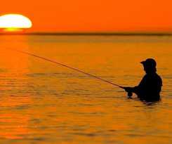 Hilton Tampa Airport Westshore