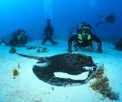 Hotel La Pirogue Mauritius