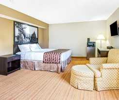 Hotel Red Maple Inn and Suites