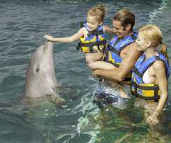 Hotel Moon Palace Cancun