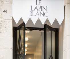 Lapin Blanc