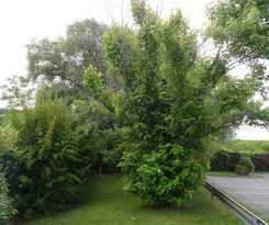  Kyriad Direct Annemasse - Genève