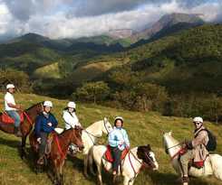 Hotel El Silencio Lodge and Spa