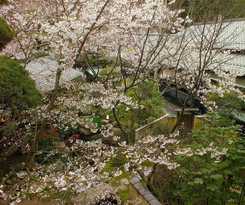 Hotel Tocen Goshoboh