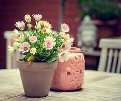 Hotel Karel de Stoute