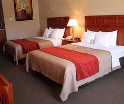 Hotel Comfort Inn At Convention Center