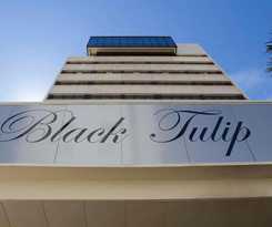 Black Tulip - Porto Gaia