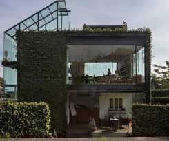 Tea Garden Resort