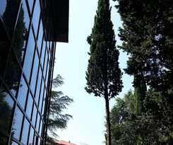 Hotel Green Club