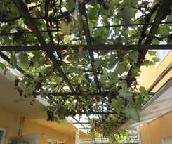 Casa de Huéspedes Veterok