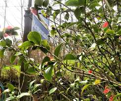 Hotel Restaurante Ribera Del Chicu
