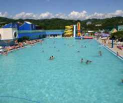 Hotel Dolphin Adlerkurort Hotel