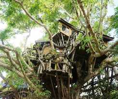 Pai Treehouse Resort