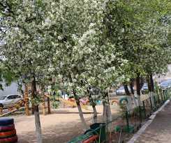 Hotel Apartment On Arbat