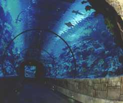 Hotel Mandalay Bay Resort and Casino