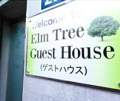 Hotel Elm Tree Guest House Myeongdong