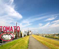 Osaka Tomato