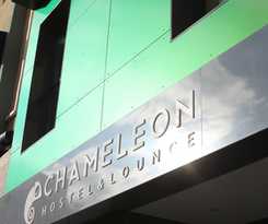 Chameleon