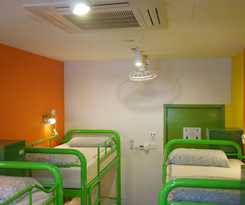 Hostal Beary Best! Hostel