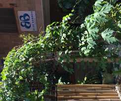 Blue Bamboo