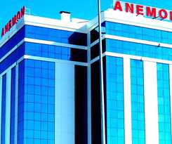 Anemon Konya