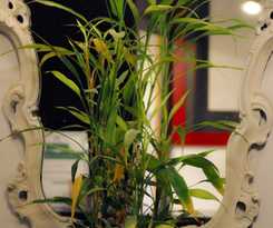  Relais Palazzo Taverna