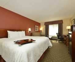 Hotel Hampton Inn East Aurora