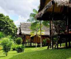 Lodge Hatuchay Pacaya Samiria Amazon Lodge