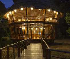 Treehouse Lodge
