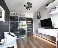  Rainbow Chelmonskiego