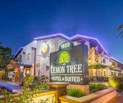 Hotel Lemon Tree and Suites Anaheim