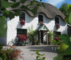 B&B Lissyclearig Thatch Cottage