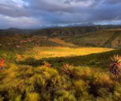 Hotel Gondwana Game Reserve