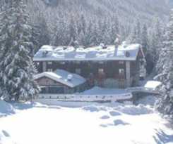 Hotel Petit Tournalin