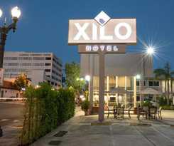 Xilo Glendale
