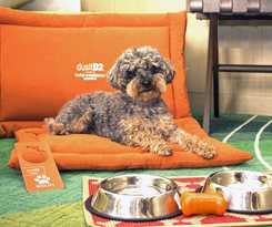 Hotel Pasadena and Pool