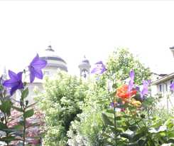 Fleur De Lis Belvedere
