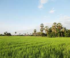 Hotel Angkor Rural Boutique