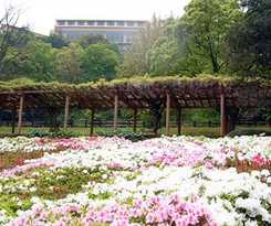 Hotel Kyukamura Setouchi-toyo