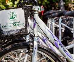 Hotel Grand Diana Majestic