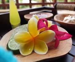 Hotel Ubud Wana Resort