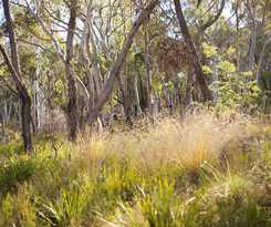 Hotel Alivio Tourist Park Canberra