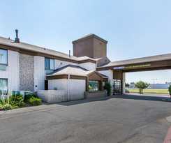 Hotel Econo Lodge Amarillo East