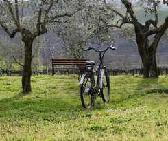 Finca Rústica Casale Contessa