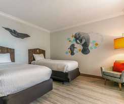 Hotel Dolphin Sands Clearwater Beach, an Ascend Collection Hotel